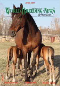 pdf version of the article